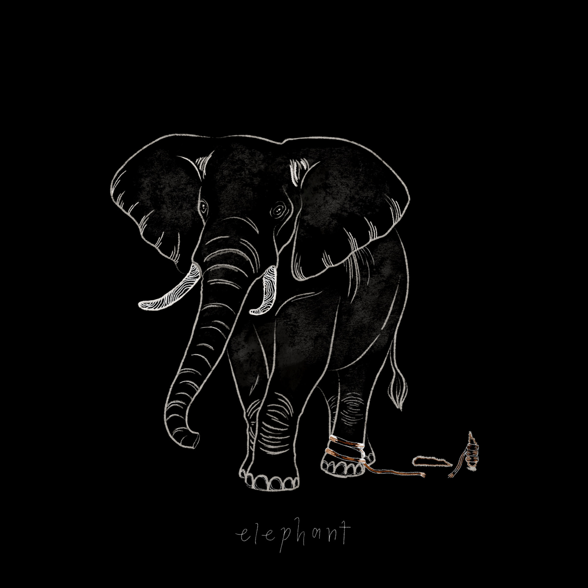 Elephant single artwork